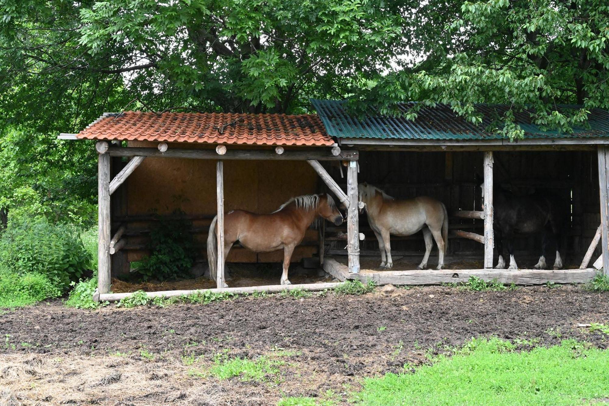 Modra Chalupa Villa Tótpelsőc Kültér fotó